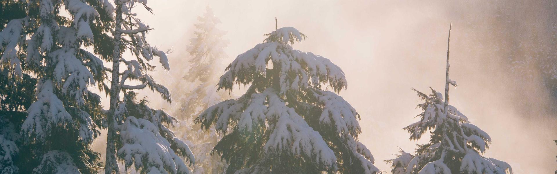 Contratos e análise documental