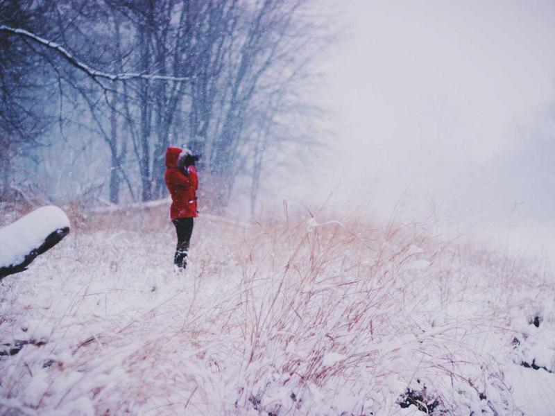 Consultoria Jurídica e Contencioso